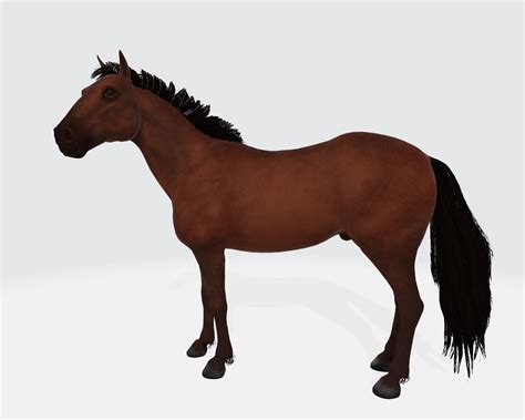 anal horse 3d